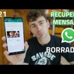 Recuperar conversación WhatsApp: Guía paso a paso