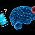 El impacto del uso del celular en las partes del cerebro